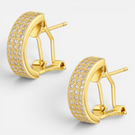 Semi Argolla Clip Circones Pavé 14 mm