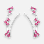 Aro Trepador Circones Fucsia