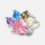 Colgante Charm Patita Circones Multicolor