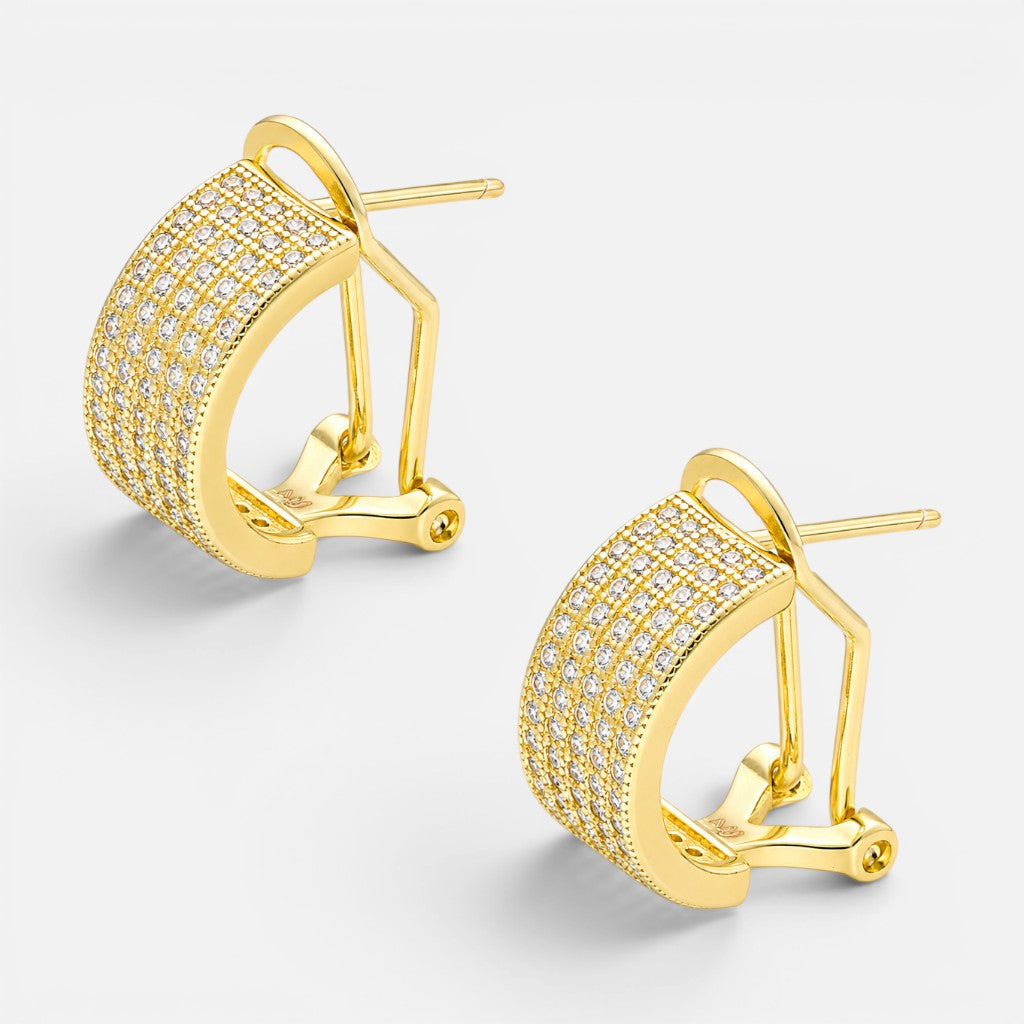 Semi Argolla Clip Circones Pavé 14 mm