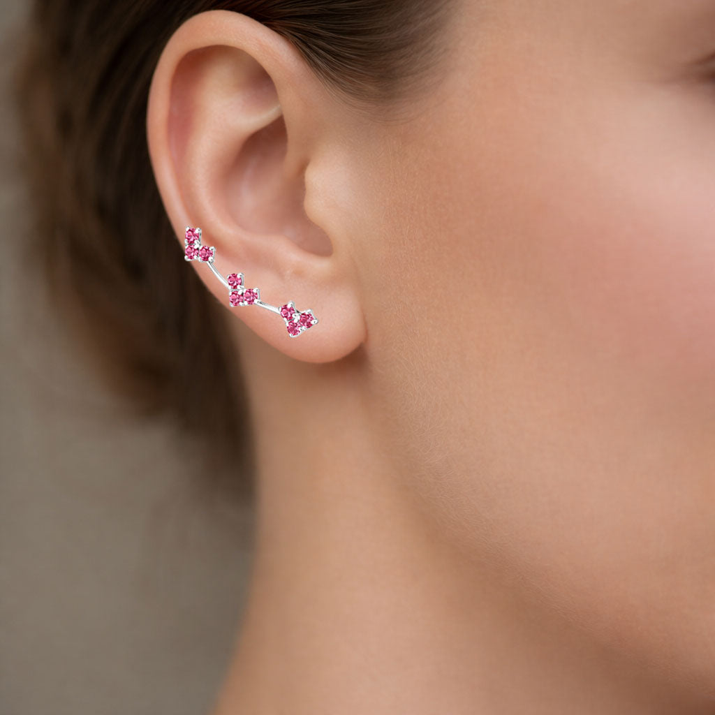 Aro Trepador Circones Fucsia