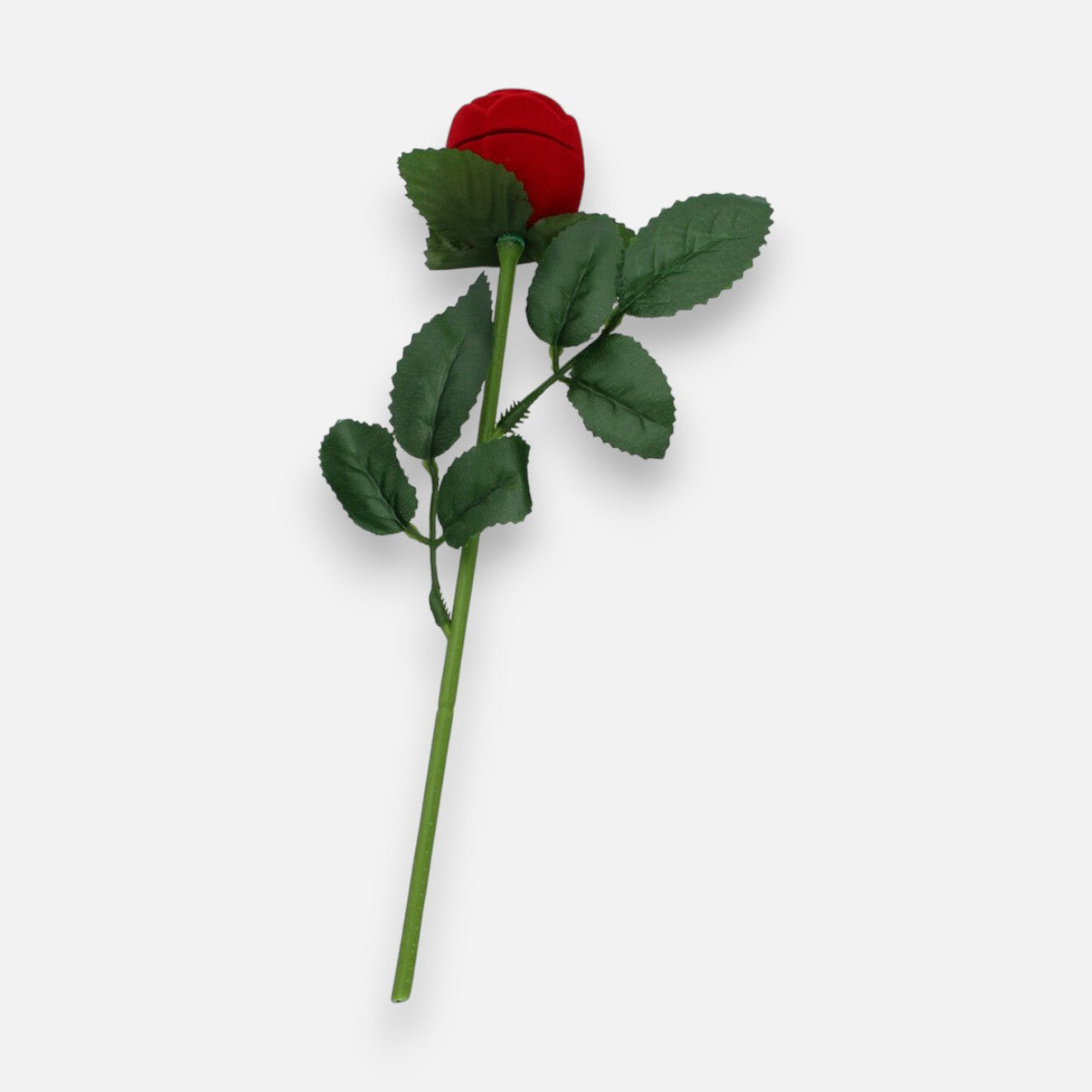 Rosa Terciopelo Premium para Anillo o Aros
