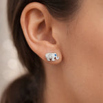 Aro Elefante Circones