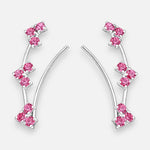 Aro Trepador Circones Fucsia